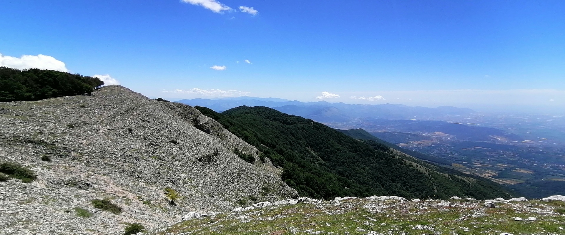 LA SIGNORA DEI LEPINI: SEMPREVISA